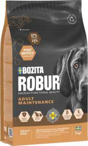 Robur Adult Maintenance