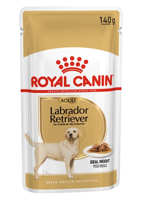 Royal Canin Wet Labrador Retriever