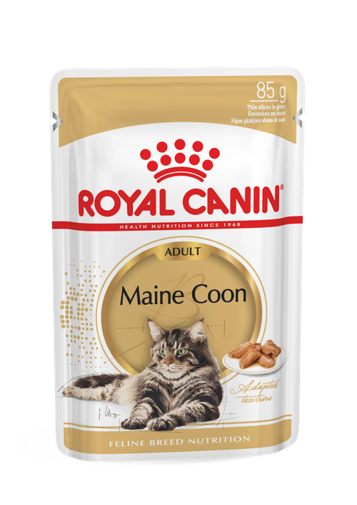 Royal Canin WET Maine Coon