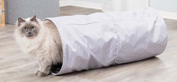 Kattunnel XXL, tyg, ø 35 x 85 cm, grå
