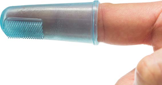 Tandborste fingertopp silikon, hund/katt, 6 cm/2-pack