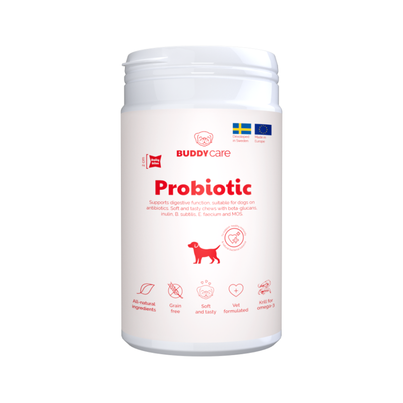 Buddy Care Probiotic 150 g