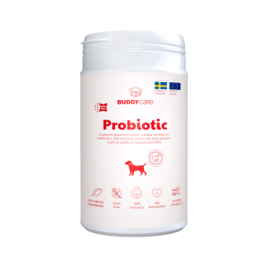 Buddy Care Probiotic 150 g