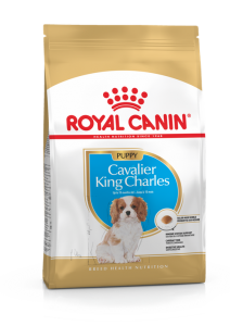 Royal Canin Cavalier King Charles Puppy