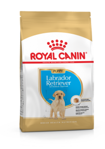 Royal Canin Labrador Retriever Puppy