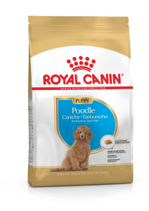 Royal Canin Poodle Puppy