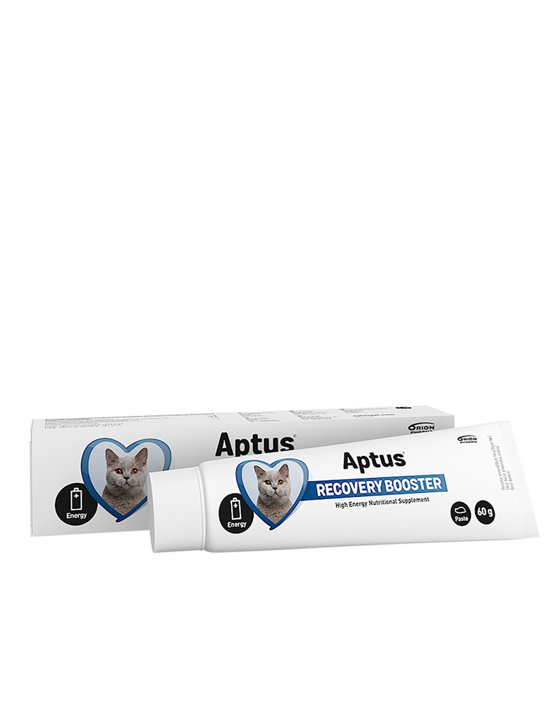 Aptus Recovery Booster Cat 60 g