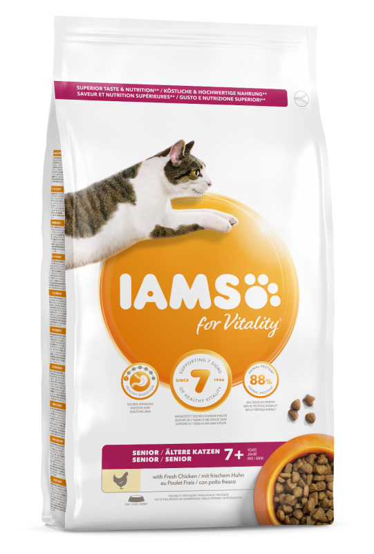 Iams Cat Senior
