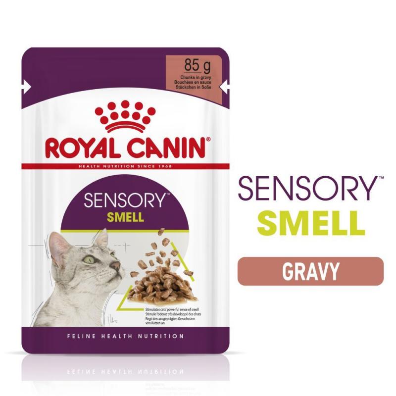 Royal Canin WET Sensory Smell Gravy