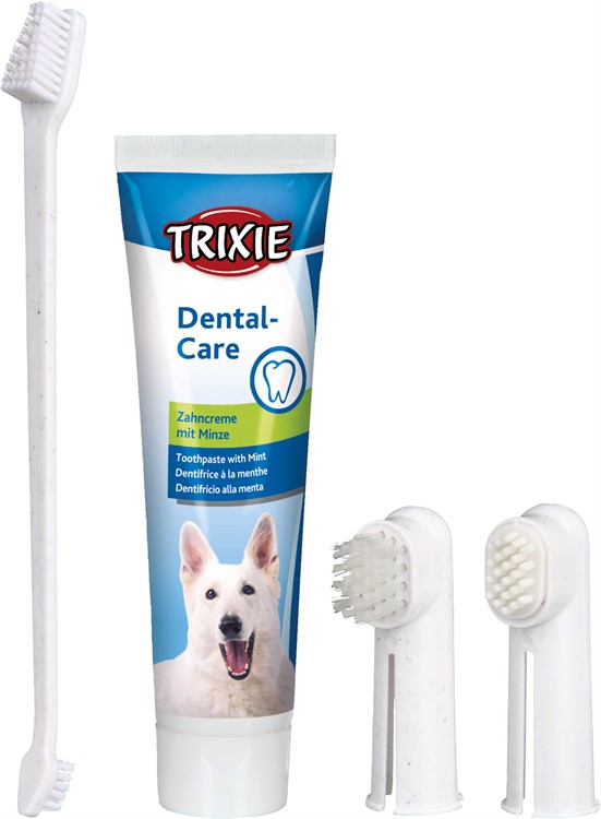 Tandvårdsset hund med tandkräm, 2 fingerborstar, 1 tandborste
