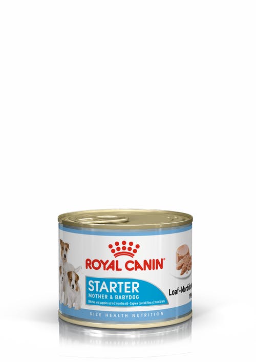 Royal Canin WET Starter Mousse 195 g