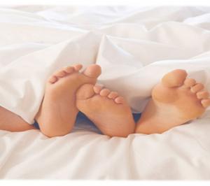 Silkestäcke, Medium