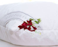 Handgjord Silkeskudde