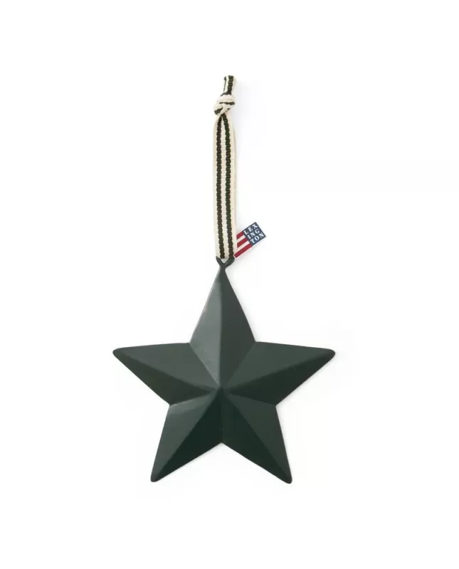 Metal Star 12x12cm - green