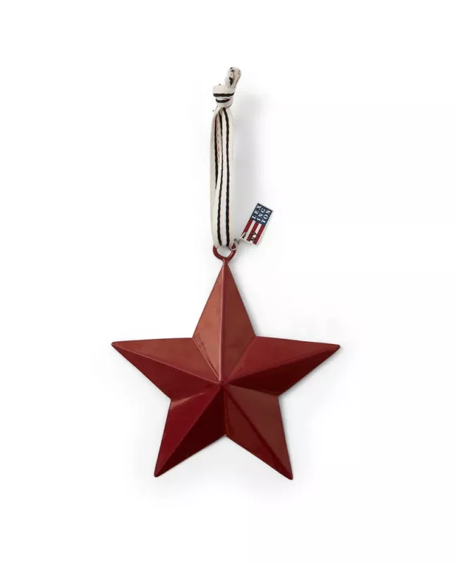 Metal Star 12x12cm - red