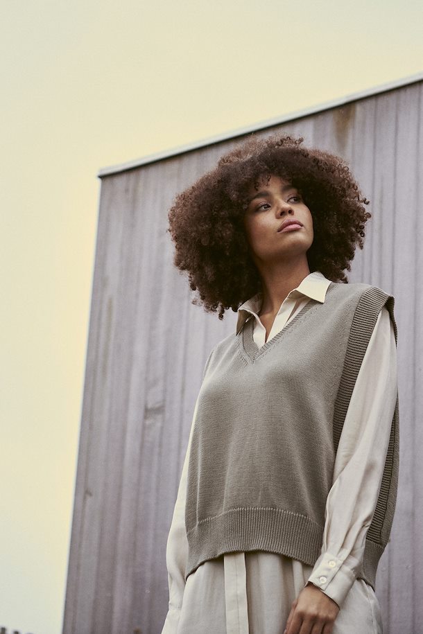 Evnia Knit Slipover
