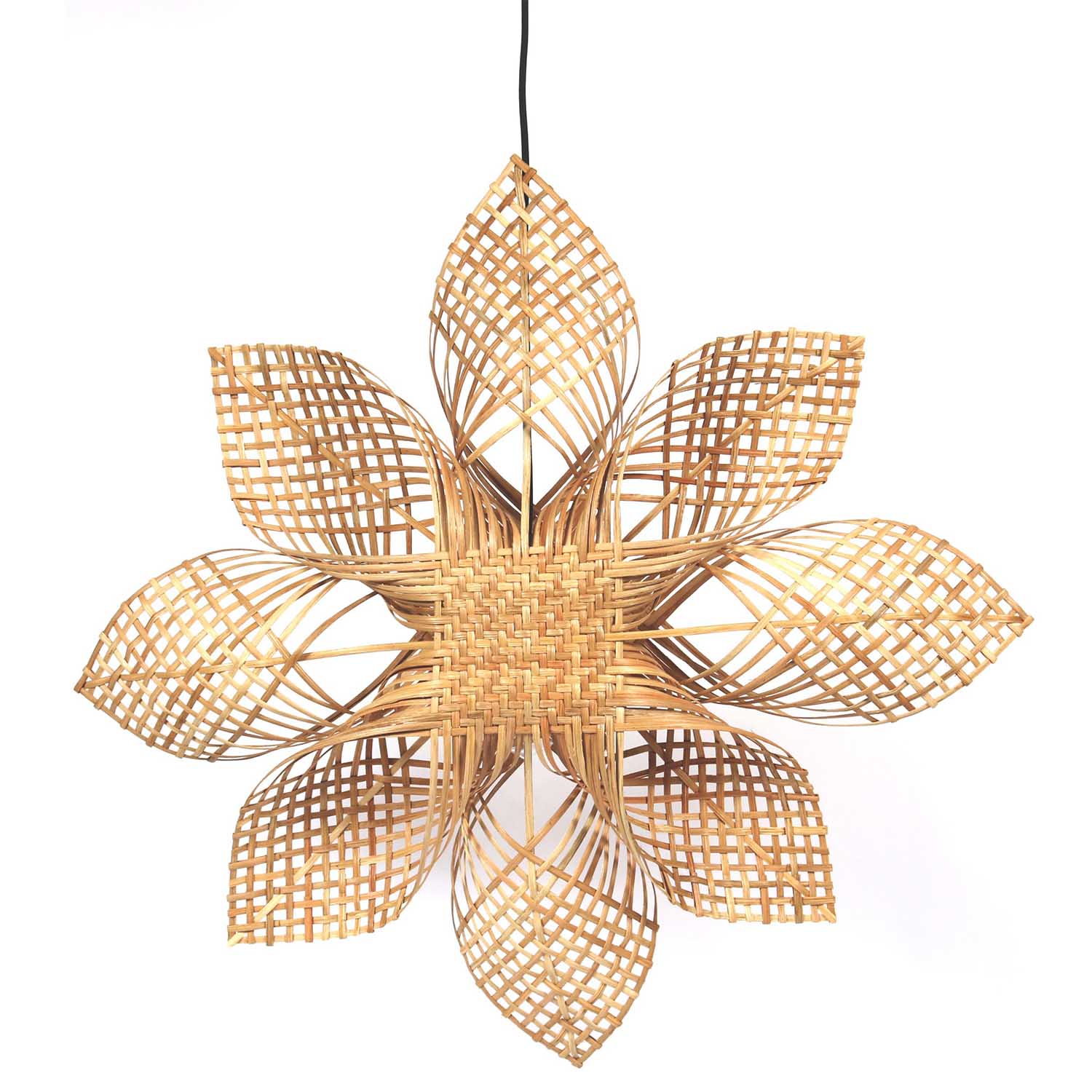 Image result for julstjärna rotting