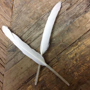 Sötaste fjädern för dekoration i PÅSK