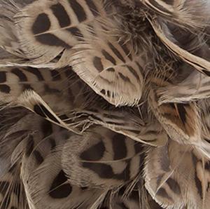 påskfjädrar i brunaktig färg