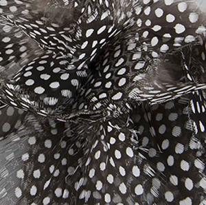 påskfjädrar från pärlhöns – närbild