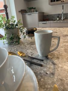 Mugg vit Bianca