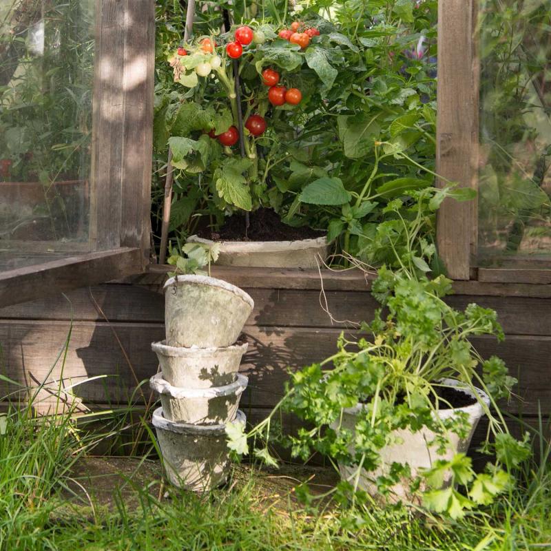 patinerad blomkruka utomhus