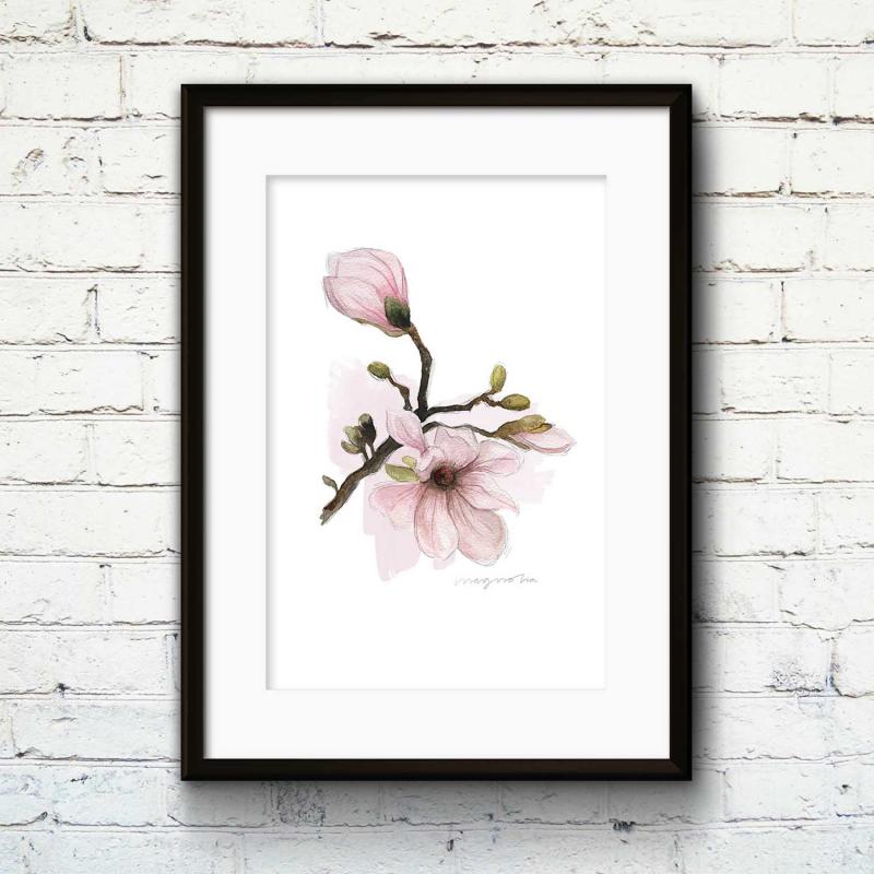 magnolia illustration