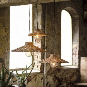 lampor i rotting hänger ner från taket framför fönster