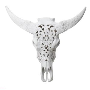 Jakttrofe  -  djurhuvud för dekoration kranium vit
