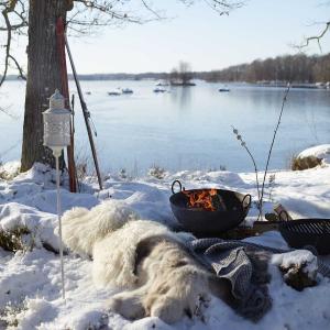 eldkorg ute i naturen vid sjö på vintern