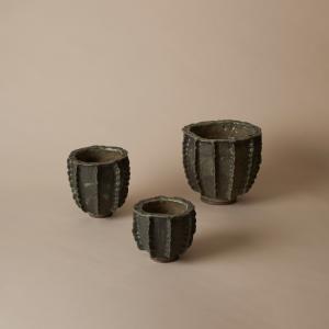 Korallkruka, Skogsgrön