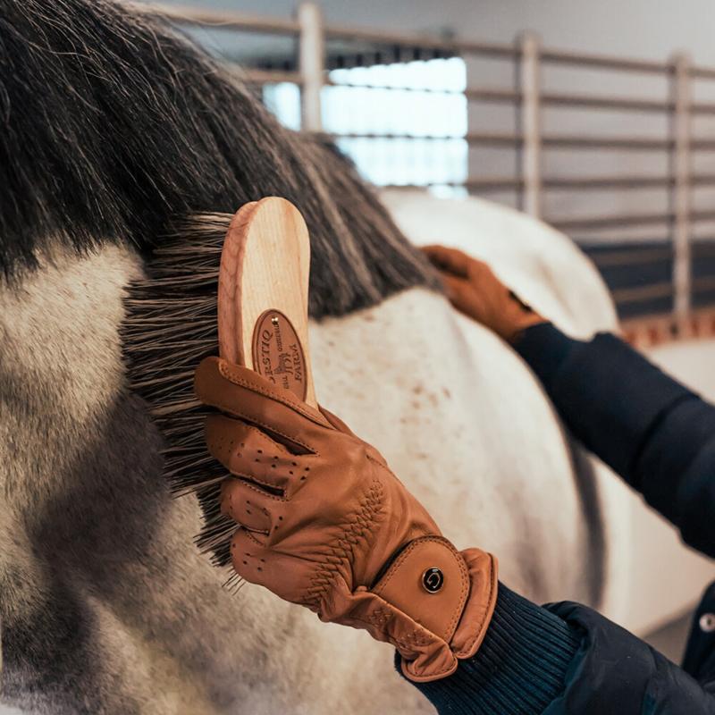 Hästviska Borstiq PP