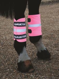 EQUI-FLECTOR® Benreflex 2- pack