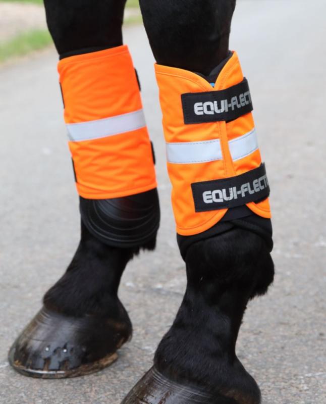 EQUI-FLECTOR® Benreflex 2- pack