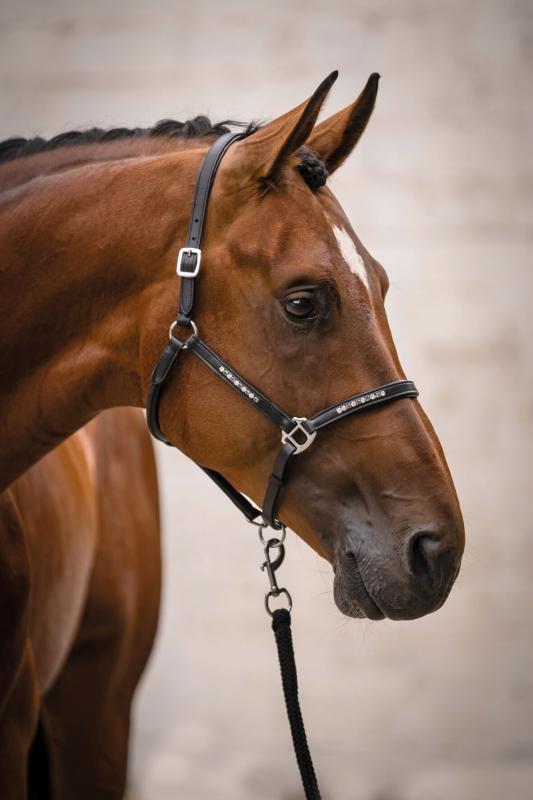 Lädergrimma Sparkle