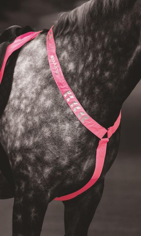EQUI-FLECTOR® Reflexbrösta Cob/Full