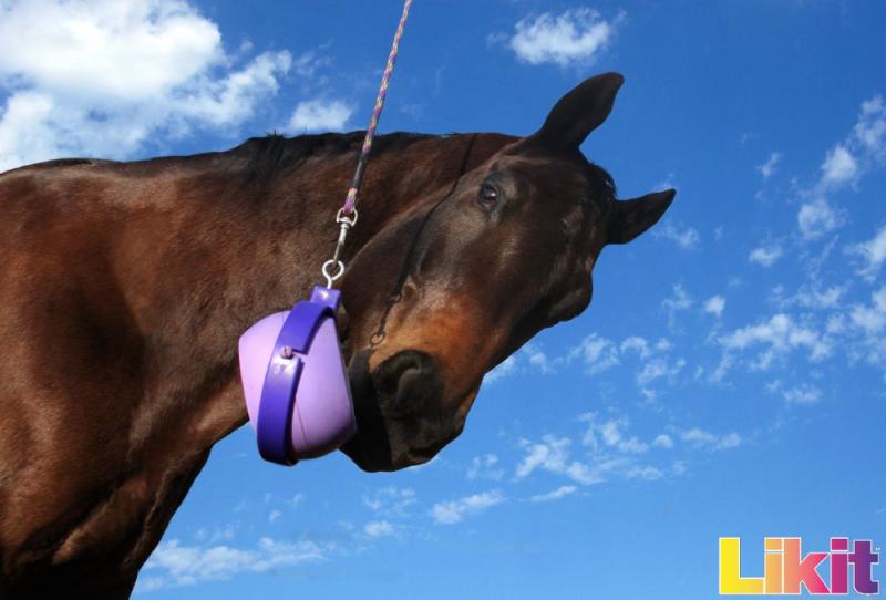 LIKIT BOREDOM BUSTER