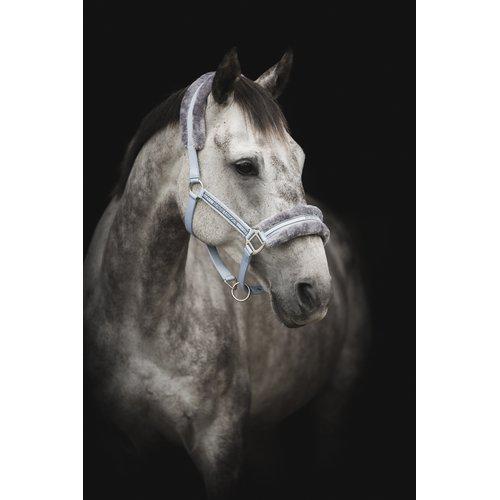 GRIMMA HORSE UNIQUE