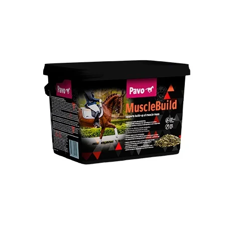 Pavo MuscleBuild
