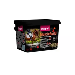 Pavo MuscleBuild