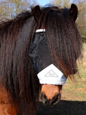 Shires Flughuva utan öron
