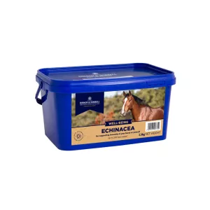 D&H Echinacea - 1 kg