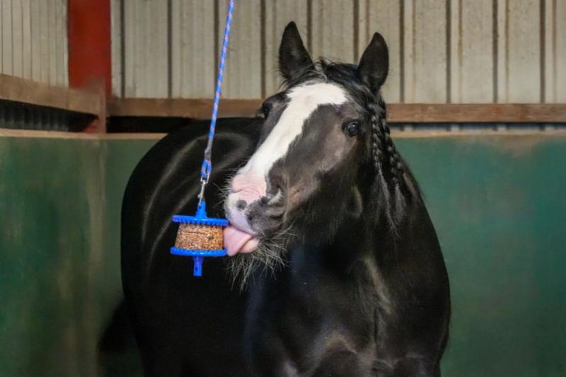 LIKIT GRANOLO SLICKSTEN