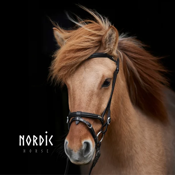 Engelsk/Kombinerad nosgrimma Golden Edition