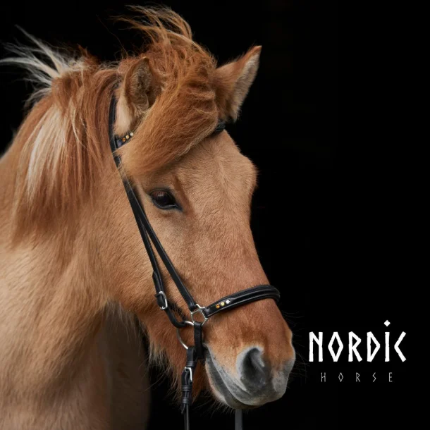 Nosgrimma Golden Edition