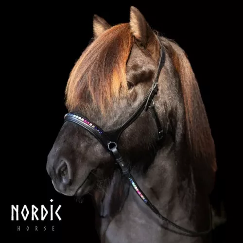 Sidepull Nordic Horse