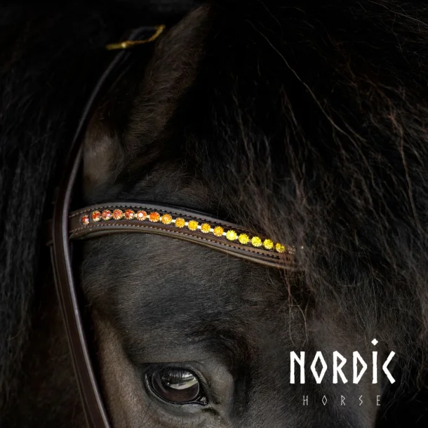 Träns Höst – Brun