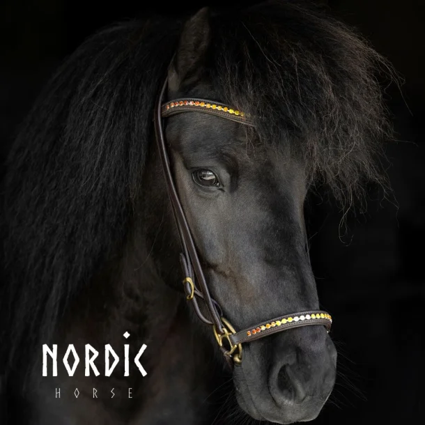 Träns Höst – Brun