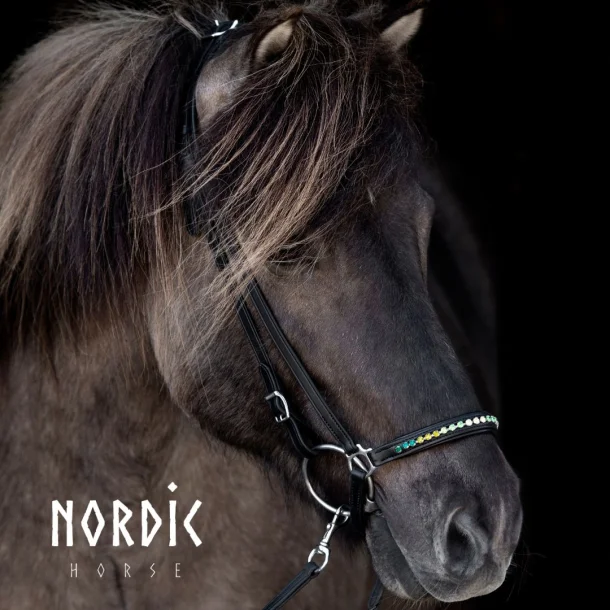 Nosgrimma Vår