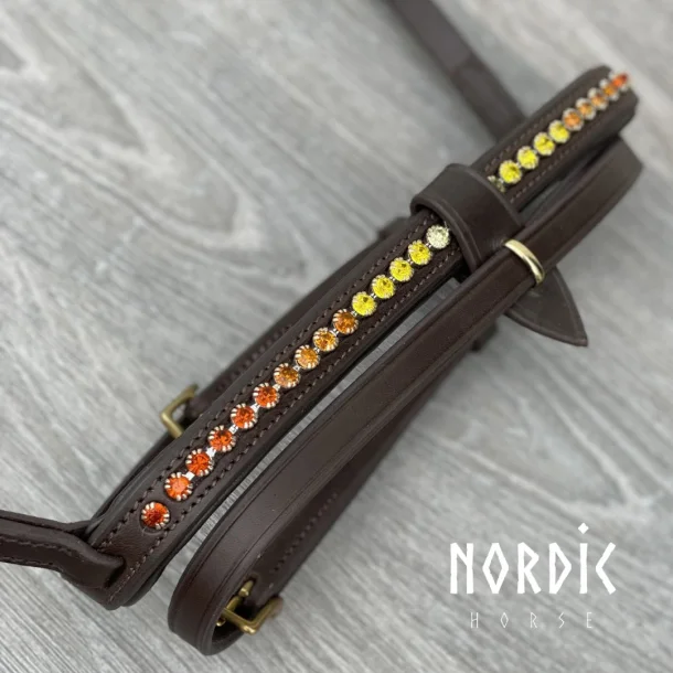 Engelsk/Kombinerad nosgrimma Höst – Brun